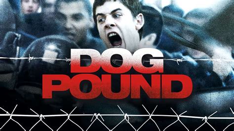 dog pound movie ending